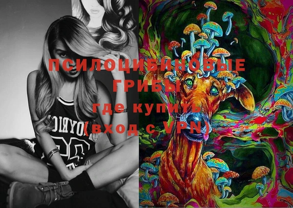 спиды Алексеевка