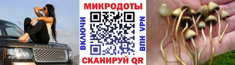 hydra ONION  цена наркотик  Кукмор  Галлюциногенные грибы прущие грибы 